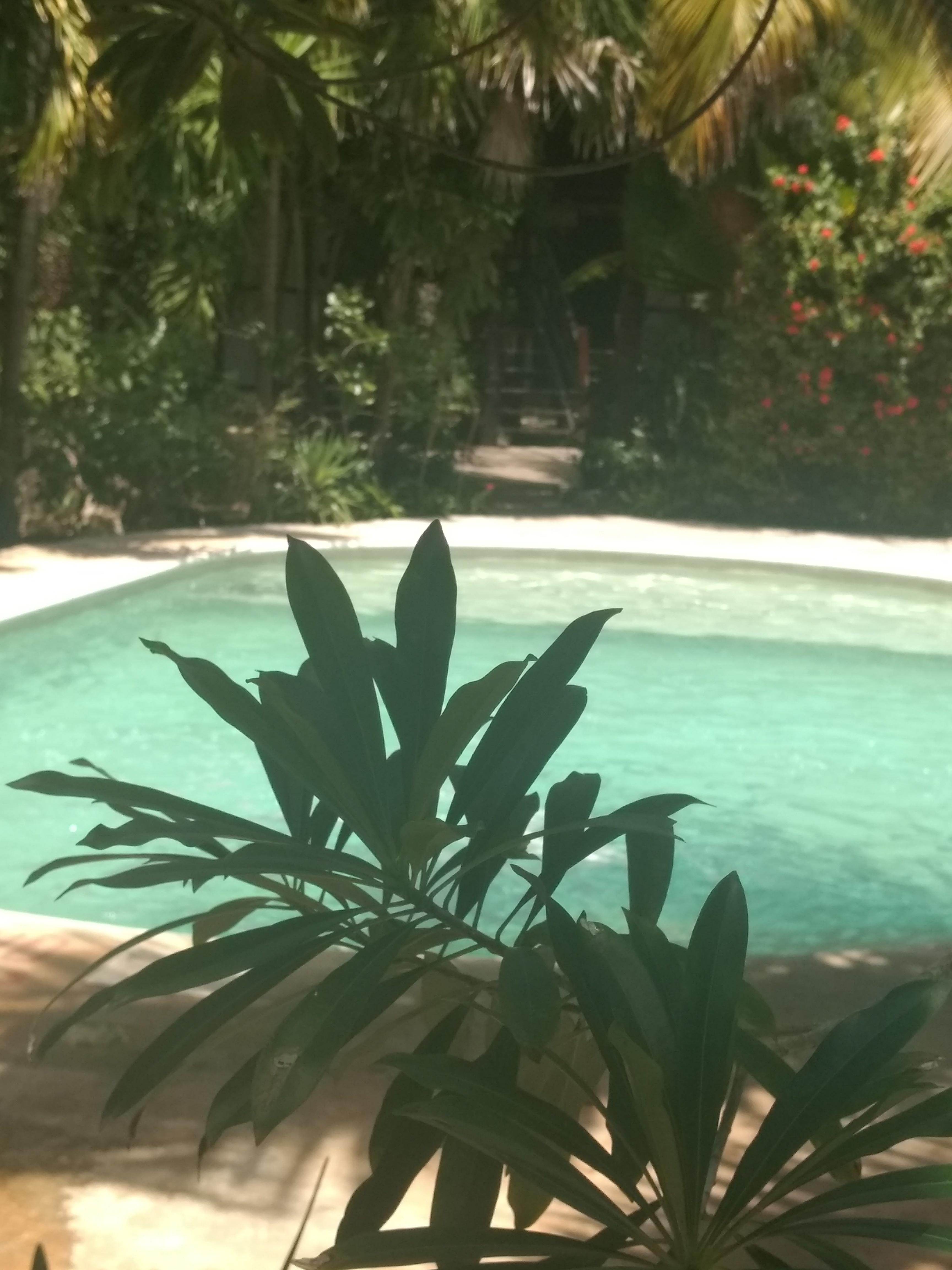Green Tulum Cabanas & Gardens Buitenkant foto