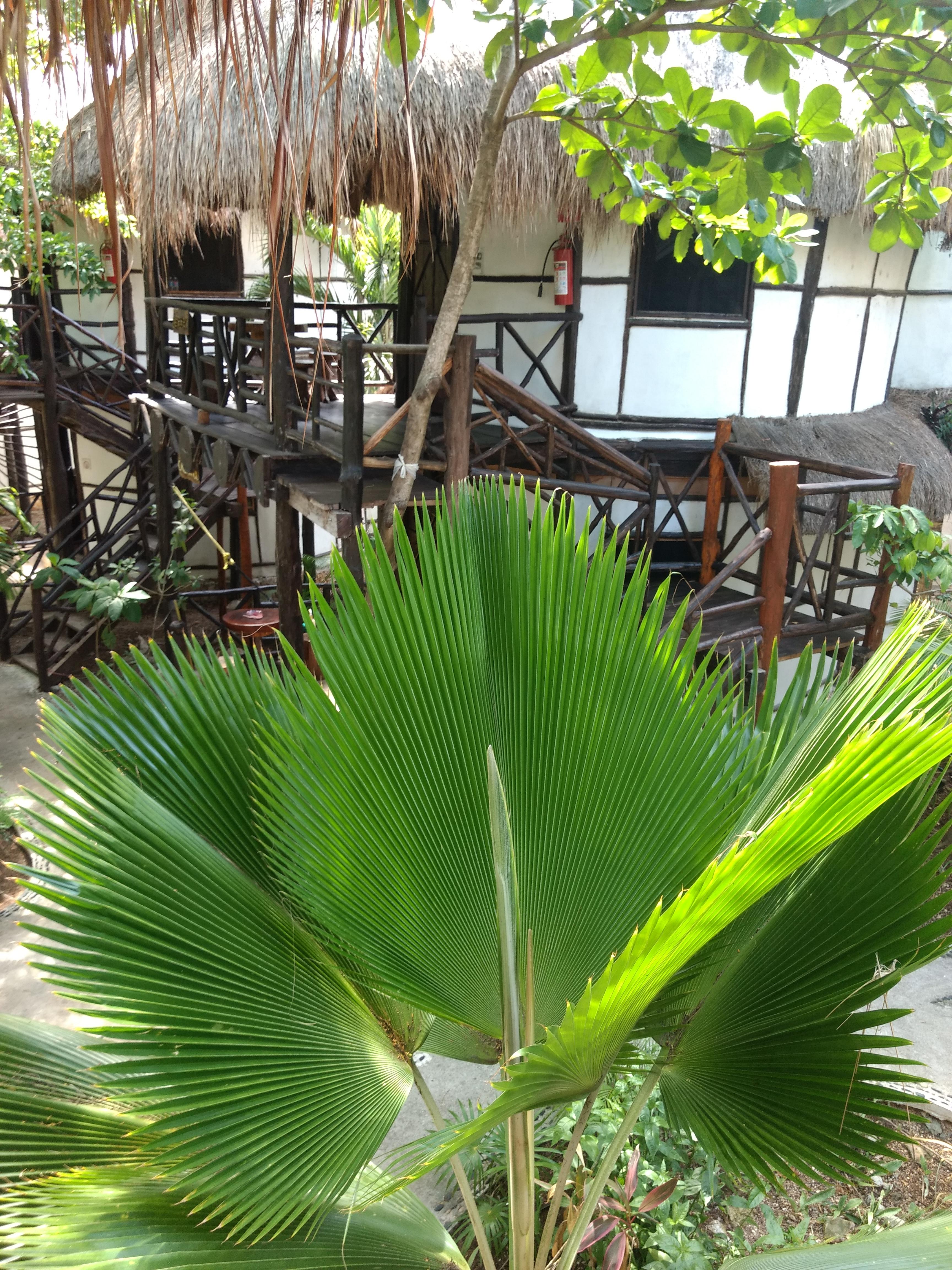Green Tulum Cabanas & Gardens Buitenkant foto